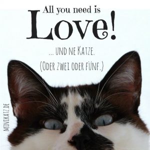 minikatz - all you need is love